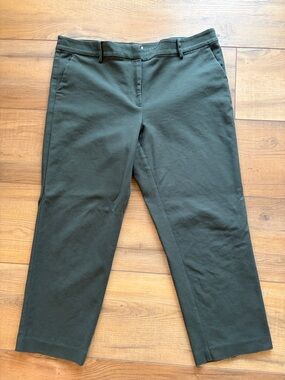 LOFT Women's Riviera Slim Olive Pants Green Size 16